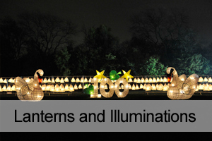 Fiona Smith Arts - Lanterns